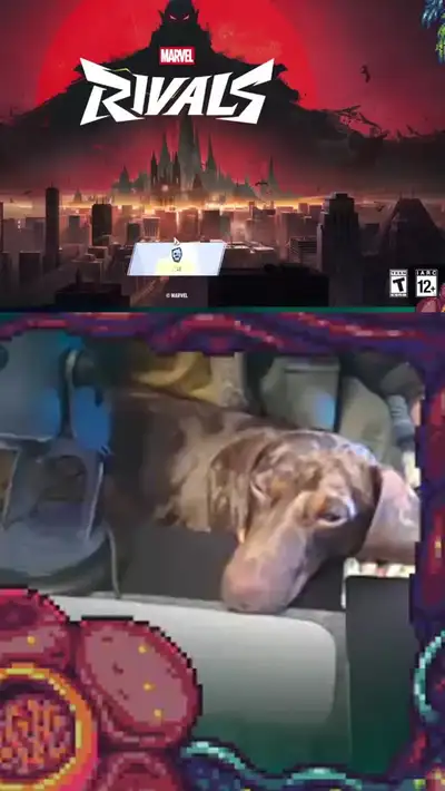 Content d5d2384e-f9ab-42f9-920e-4cc82e0203ff