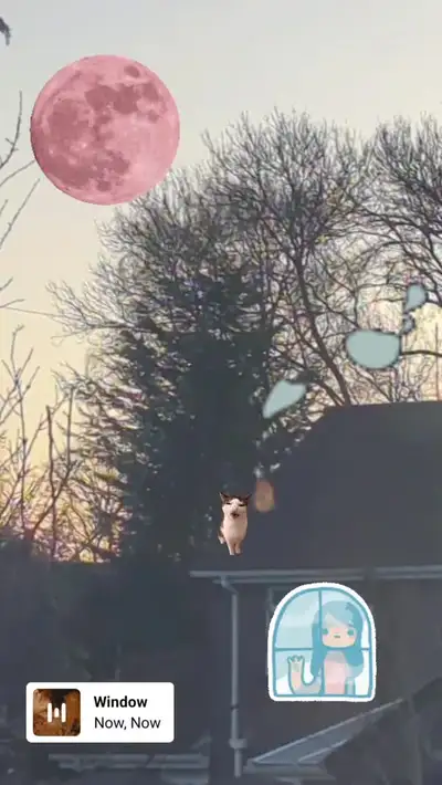 Content f6d55d69-80c5-4b82-8882-4a09be667fed